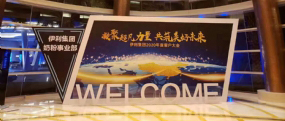 2020年“鼠”伊利最好！做最具盈利奶粉品牌！